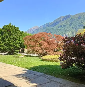 Foto annuncio 5