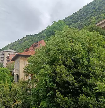 Foto annuncio 5