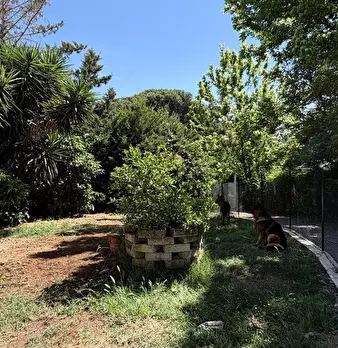 Foto annuncio 8