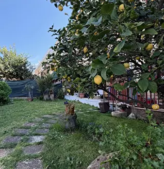 Foto annuncio 2