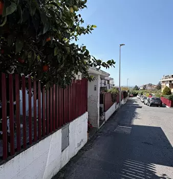 Foto annuncio 8