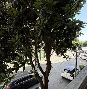 Foto annuncio 8