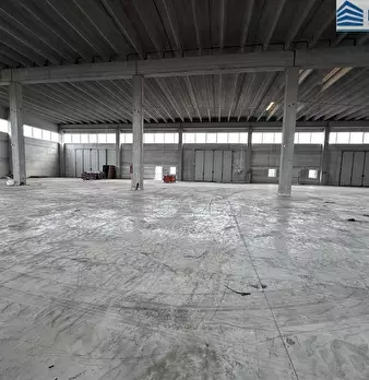 Foto annuncio 6