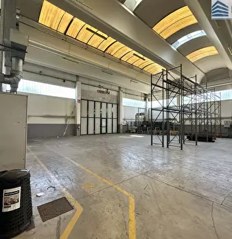 Foto annuncio 9