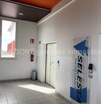 Foto annuncio 2