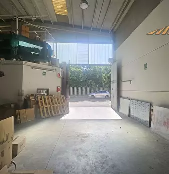 Foto annuncio 5