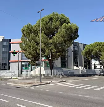Foto annuncio 9