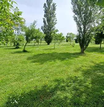Foto annuncio 4