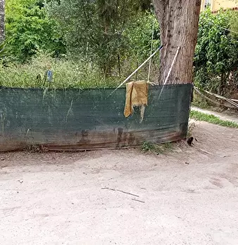Foto annuncio 2