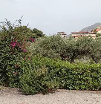 Foto annuncio 7