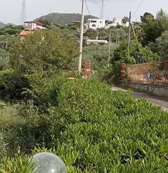 Foto annuncio 4