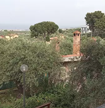 Foto annuncio 2