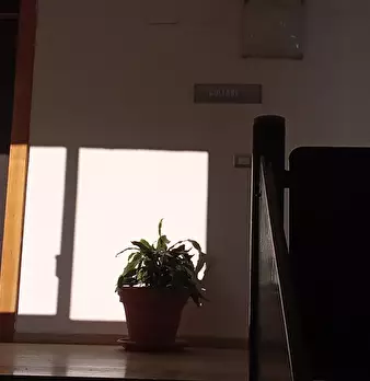 Foto annuncio 4