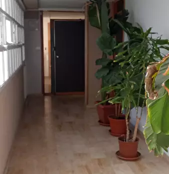Foto annuncio 7