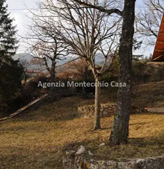 Foto annuncio 9