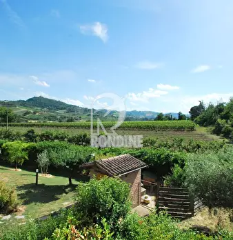 Foto annuncio 5