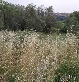 Foto annuncio 4