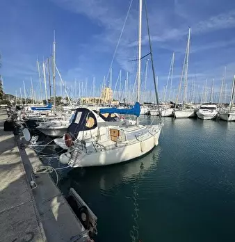 Foto annuncio 7