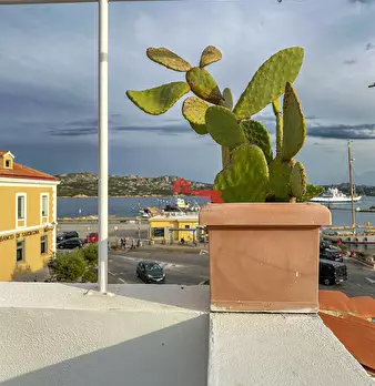 Foto annuncio 7