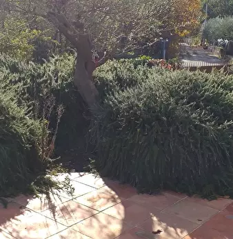 Foto annuncio 1