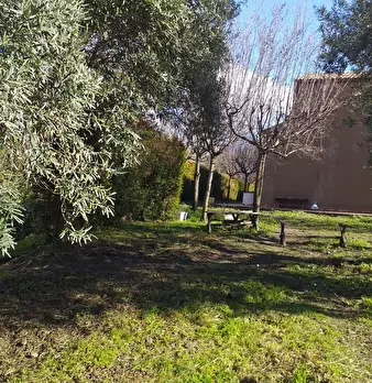Foto annuncio 5