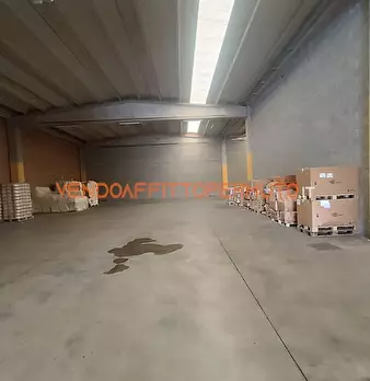 Foto annuncio 9