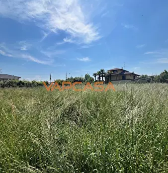 Foto annuncio 5