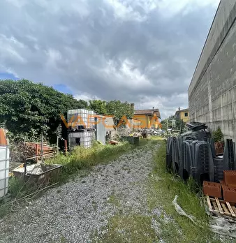 Foto annuncio 9