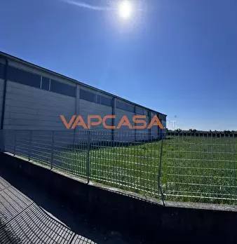 Foto annuncio 6