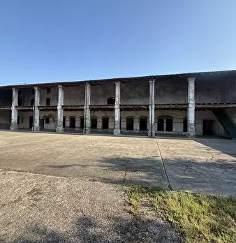 Foto annuncio 7