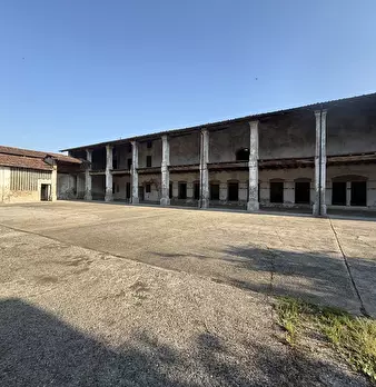 Foto annuncio 5