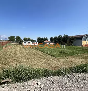 Foto annuncio 3
