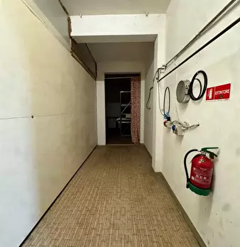 Foto annuncio 7