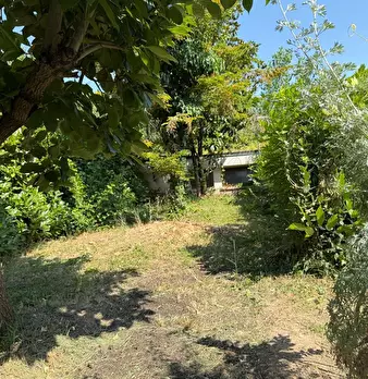 Foto annuncio 5