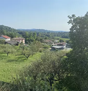 Foto annuncio 6
