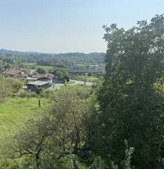Foto annuncio 7