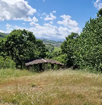 Foto annuncio 6