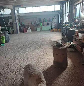 Foto annuncio 8