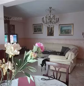 Foto annuncio 5