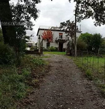 Foto annuncio 4