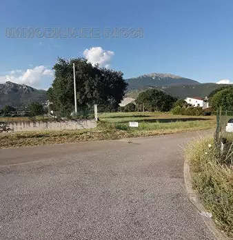 Foto annuncio 2