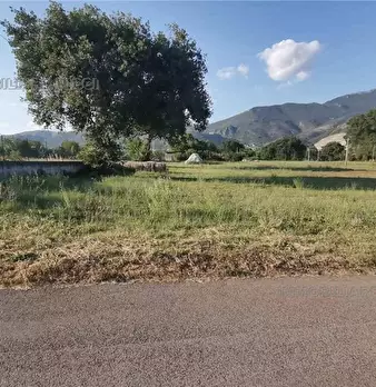 Foto annuncio 4