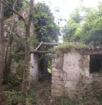 Foto annuncio 2