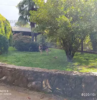 Foto annuncio 5