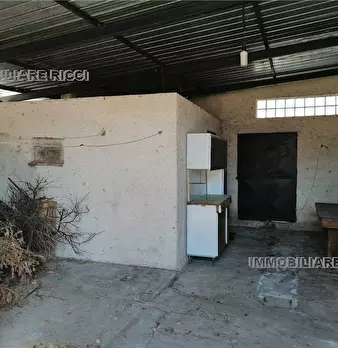 Foto annuncio 11