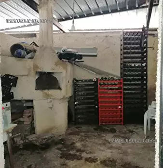Foto annuncio 8