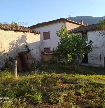 Foto annuncio 4