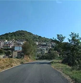 Foto annuncio 10