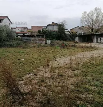 Foto annuncio 4