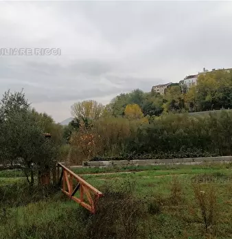 Foto annuncio 5